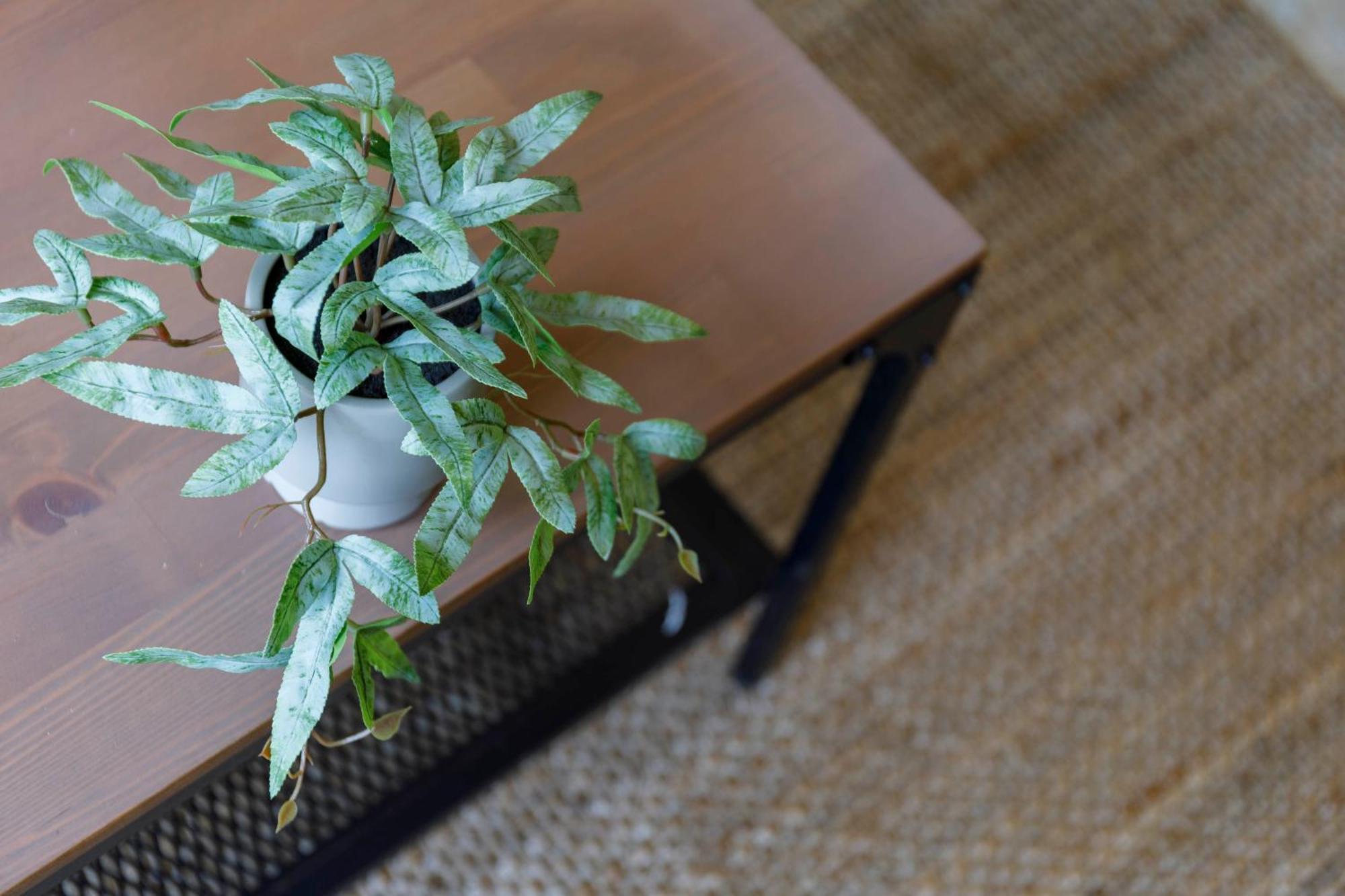 Con Encanto En El Casco Antiguo By Cabana Rentals 比戈 外观 照片